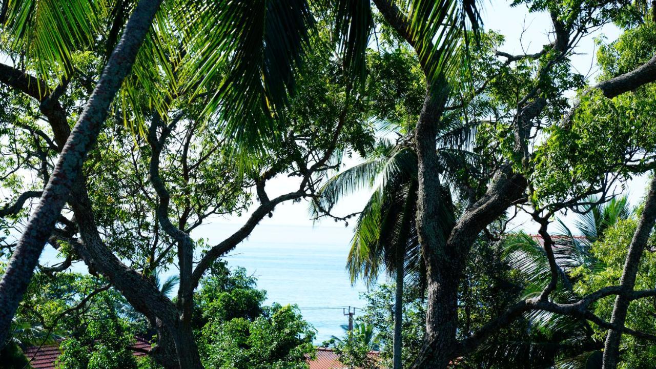 Sea Bay Inn Тангалла Экстерьер фото